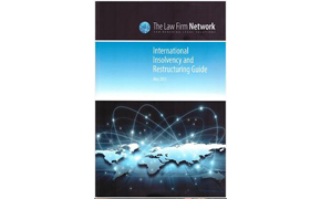 The International Insolvency and Restructuring Guide by the Law Firm Network, 2013.
